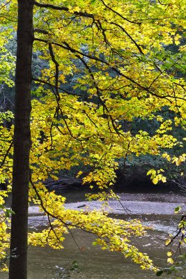 Fall in the Valley