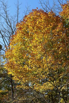 Fall's Finest