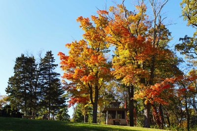Fall at Fabyan
