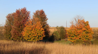 Fall Marching On