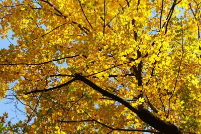 Fall Beauty