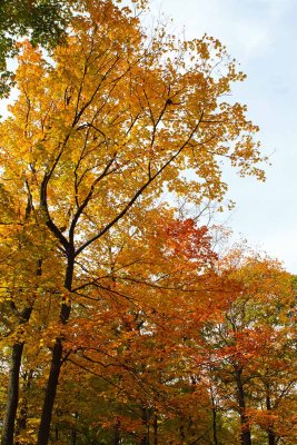 October's Hues