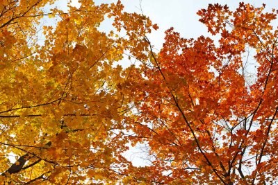 Colors Closing In