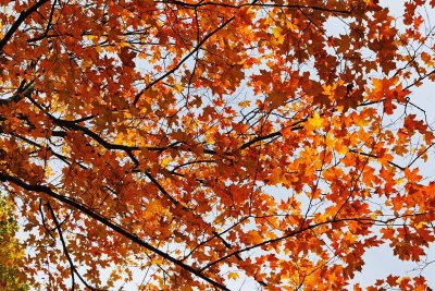 Reaching for Red