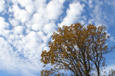 Colors in the Clouds