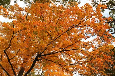 Colors After Summer
