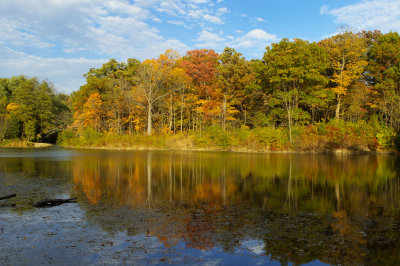 Reflecting on Fall