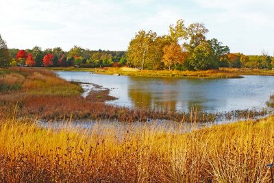 Autumn Scene