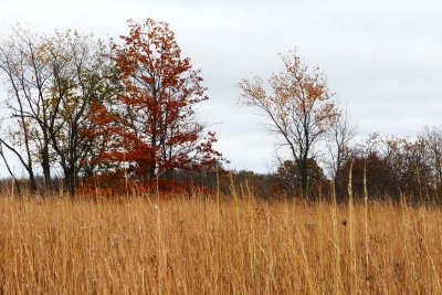 Fall on the Edge