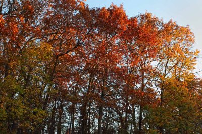 Color at the End