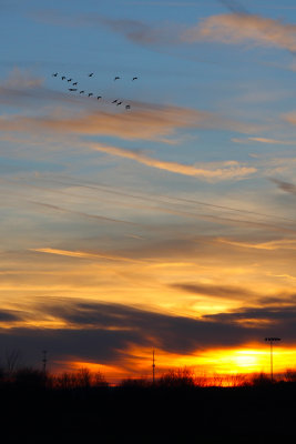 Southbound Flight