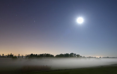 Moonlight and Ground Fog