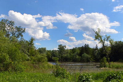 Spring Valley Skies