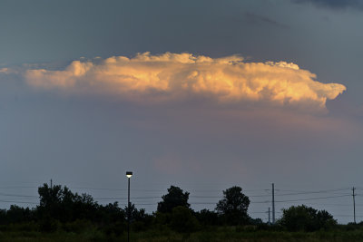 Rising Above Sunset