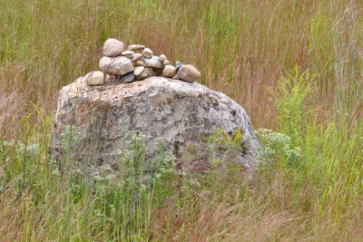 Glacial Erratics