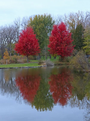 Fall on a Small Lake