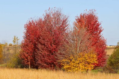 Fall Moving Along