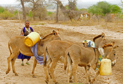 Water is extremely scarce. _1020953web1600v2sh - Copy.jpg