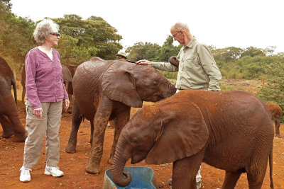 At the Sheldrick elephant orphanage _1030581 web 1600.jpg