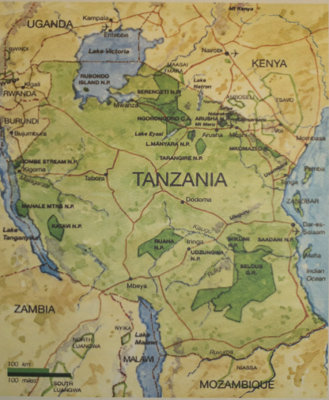 Tanzania whole 800_DSC0363.jpg