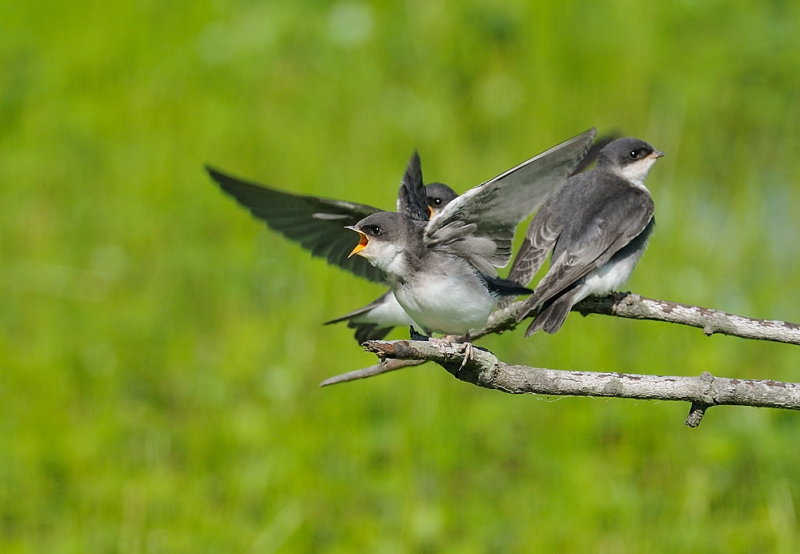 D35_3163.jpg