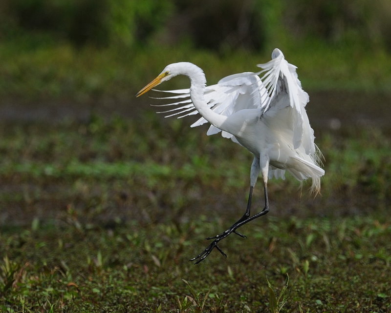 D35_3549.jpg