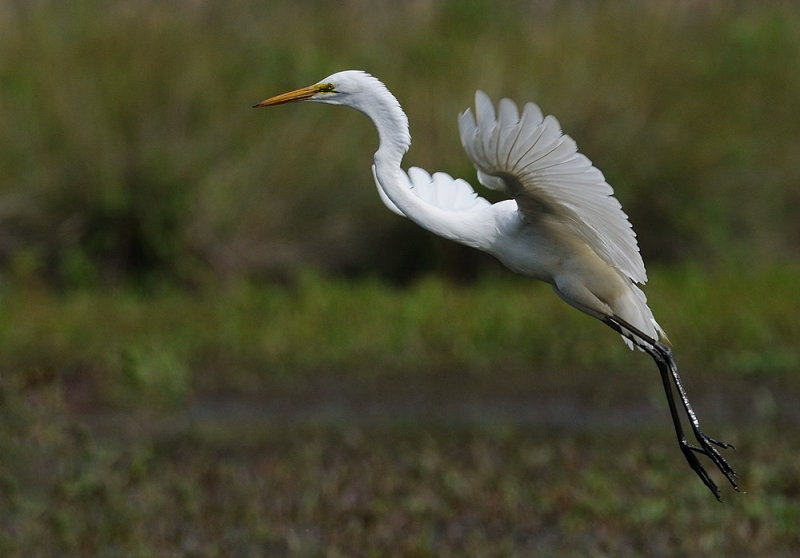 D35_3551.jpg