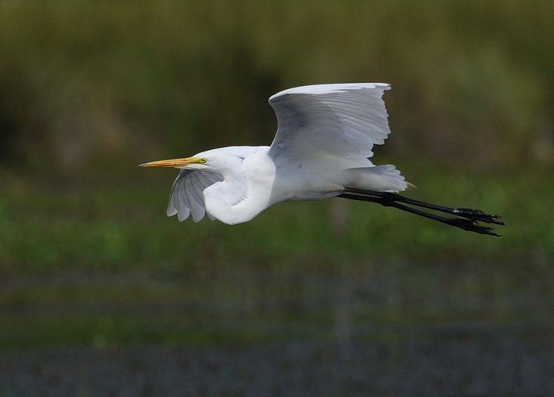 D35_3573.jpg