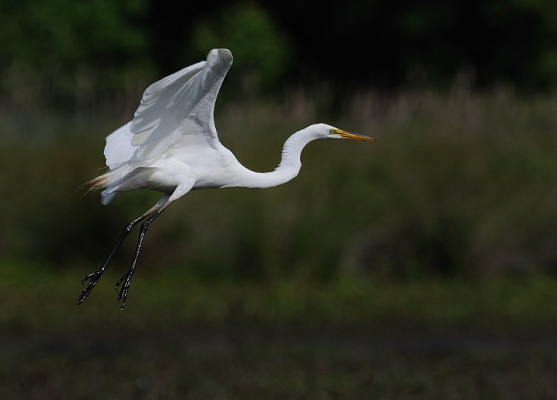 D35_3576.jpg