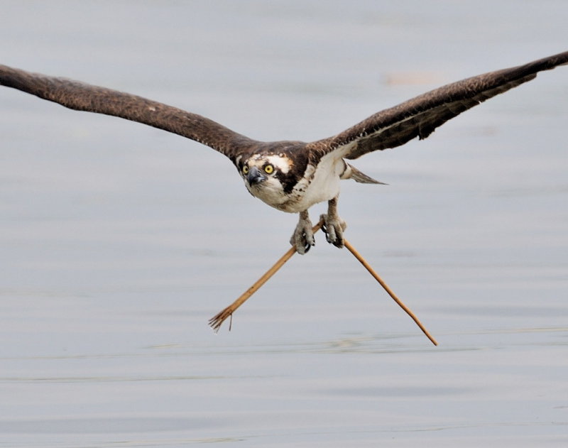 D35_4195 Crop.jpg