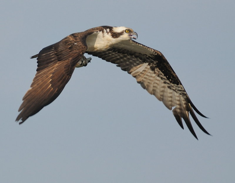 D35_5753.jpg
