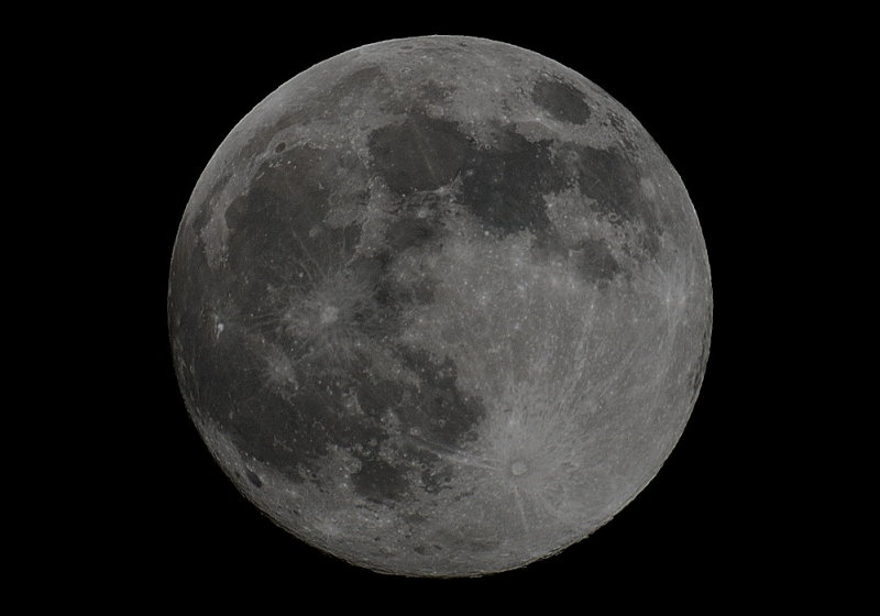 D35_4673.jpg