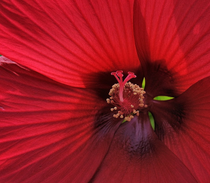 D35_6275.jpg