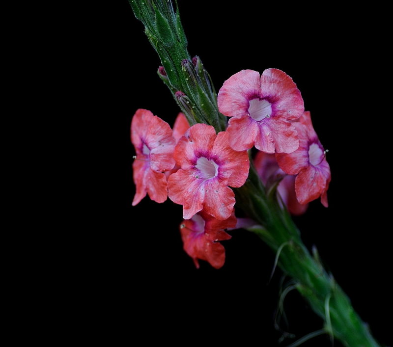 D35_6758.jpg