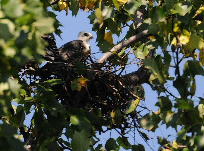 D35_7128.jpg