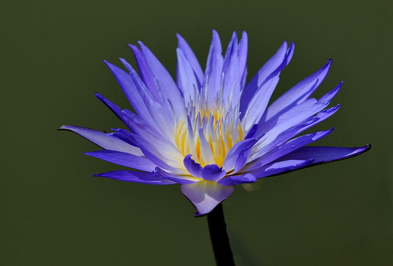 D35_7761.jpg