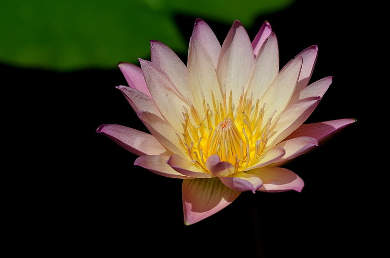 D35_7763.jpg
