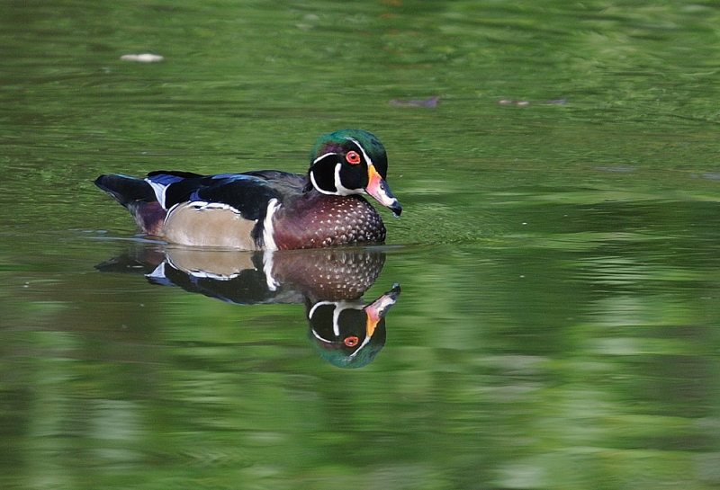 D35_9221.jpg
