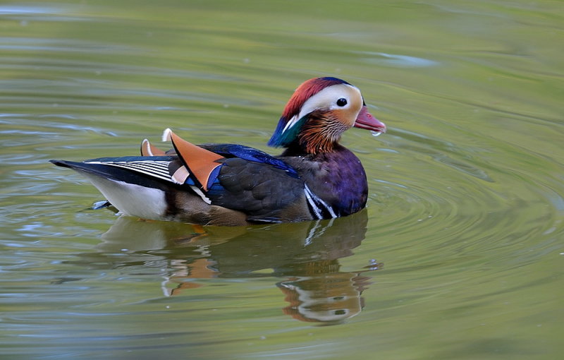D35_9247.jpg