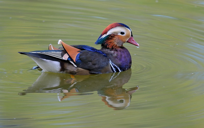 D35_9249.jpg