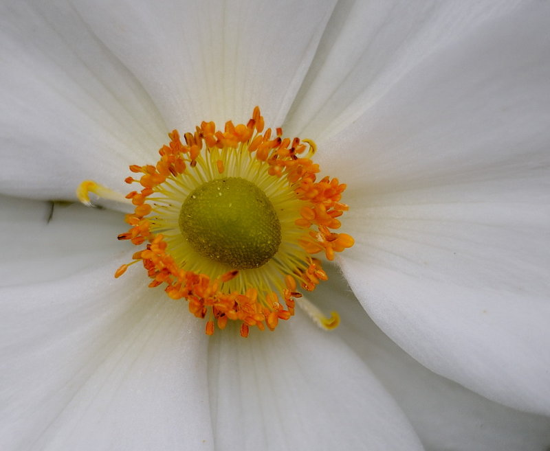 D35_7833.jpg
