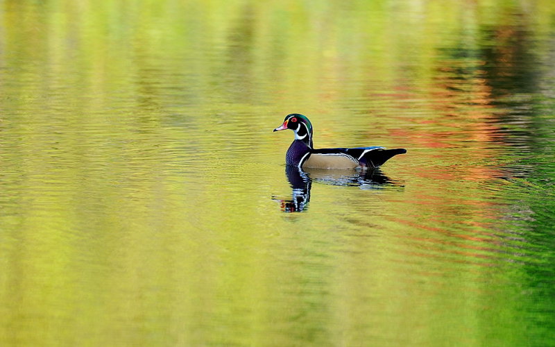 D35_9892.jpg