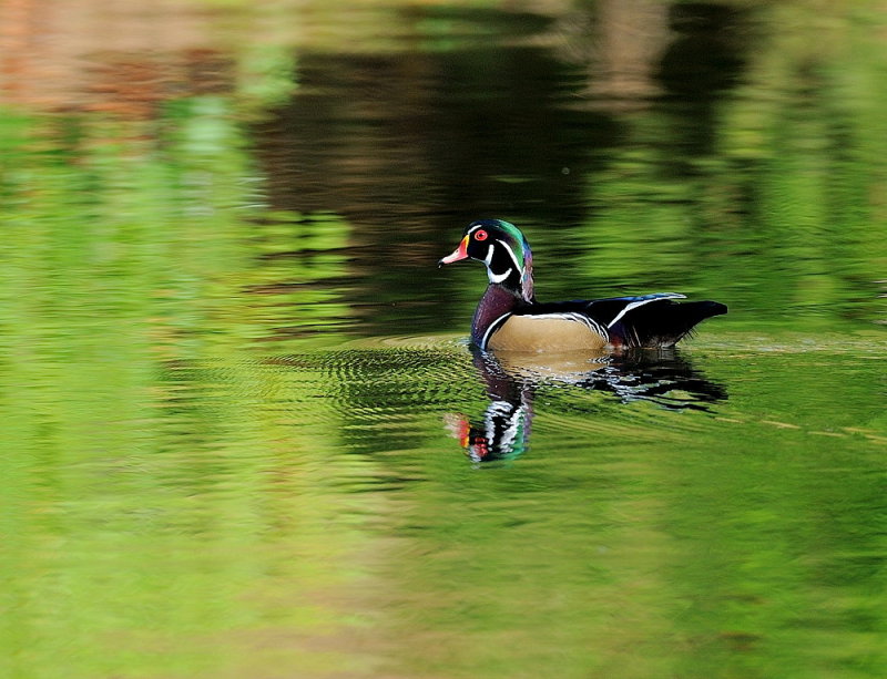 D35_9904.jpg