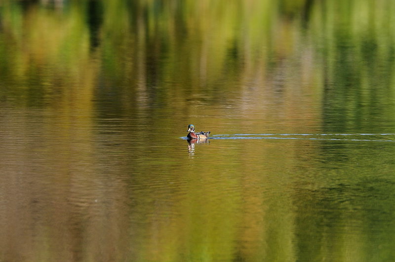 D35_9995.jpg