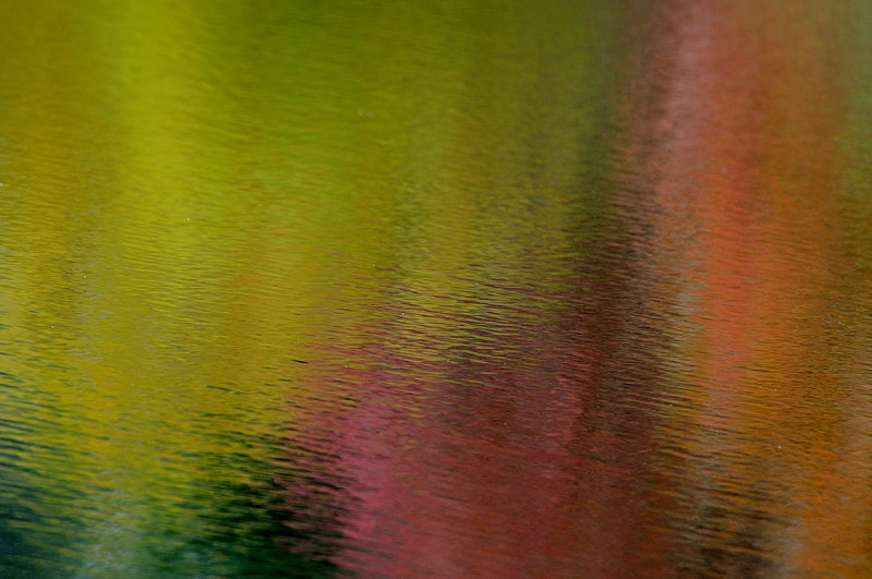 D36_1046.jpg