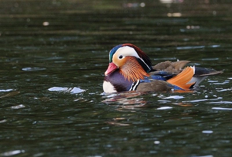 D36_1056.jpg