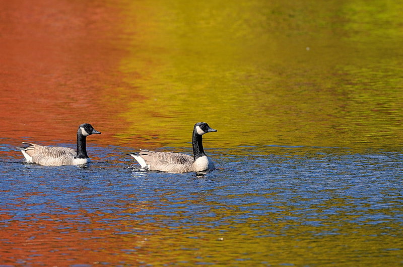 D36_1238.jpg