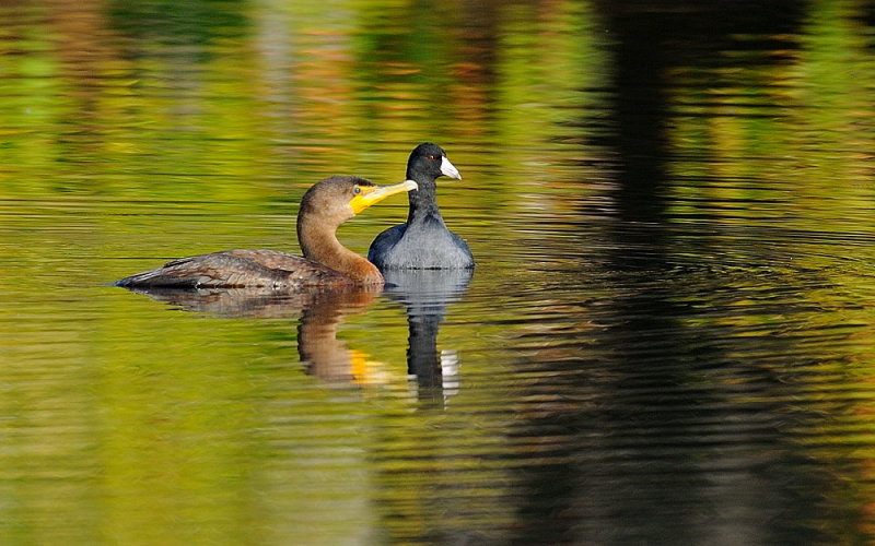 D36_1434.jpg