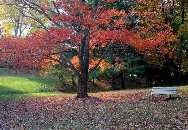D36_1688.jpg