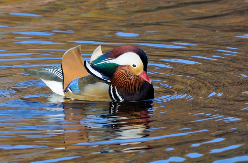 D36_2482.jpg